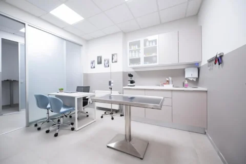 Ambulanta za pregled ljubimaca s inox stolom i radnim mjestom