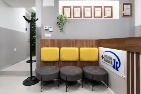 Kutak za čekanje uz recepciju Veterine Branimir na Laništu