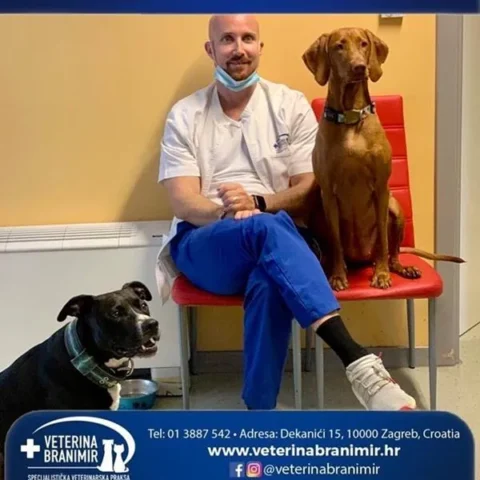 Veterinar sjedi u ordinaciji s dva psa