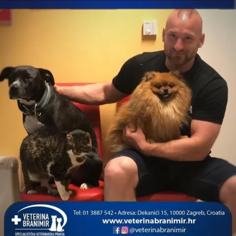 Veterinar s tri psa u ordinaciji